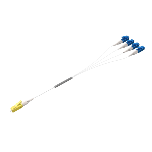 MCF (Multi-Core Fiber) FIFO (Fan-out Type)